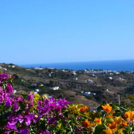 El Quinto Pino, Luxury Country With Pool And Parking Hansonholiday Apartment Frigiliana