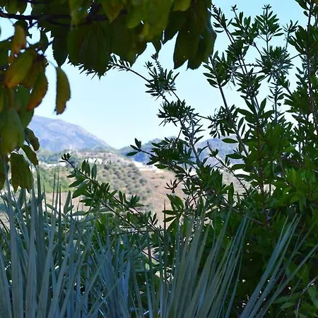 El Quinto Pino, Luxury Country With Pool And Parking Hansonholiday *